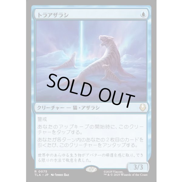 画像1: トラアザラシ/Tiger-Seal (1)