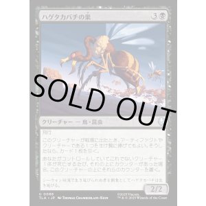 画像: ハゲタカバチの巣/Buzzard-Wasp Colony