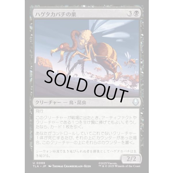 画像1: ハゲタカバチの巣/Buzzard-Wasp Colony (1)