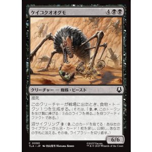 画像: ケイコクオオグモ/Canyon Crawler