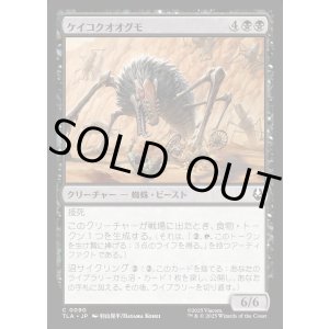 画像: ケイコクオオグモ/Canyon Crawler