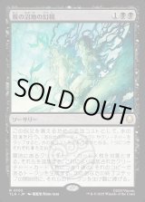 画像: 霧の沼地の幻視/Foggy Swamp Visions