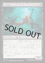 画像: イノザル/Hog-Monkey