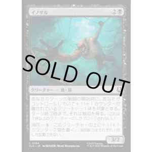 画像: イノザル/Hog-Monkey