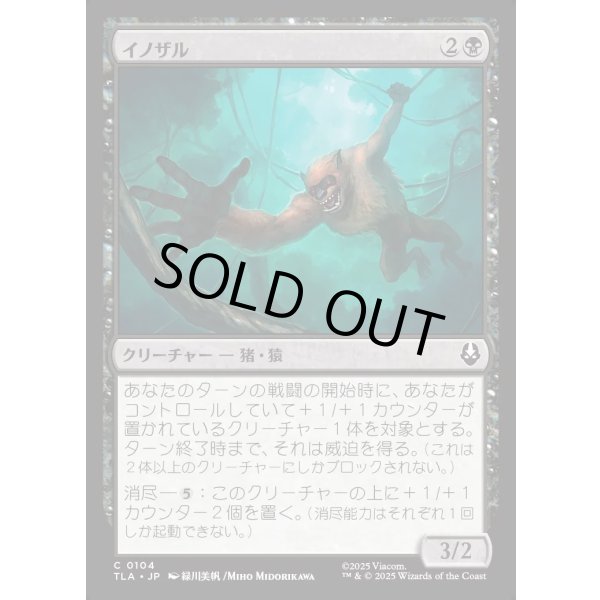 画像1: イノザル/Hog-Monkey (1)