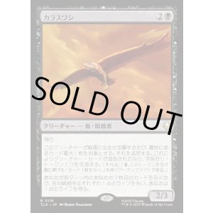 画像: カラスワシ/Raven Eagle