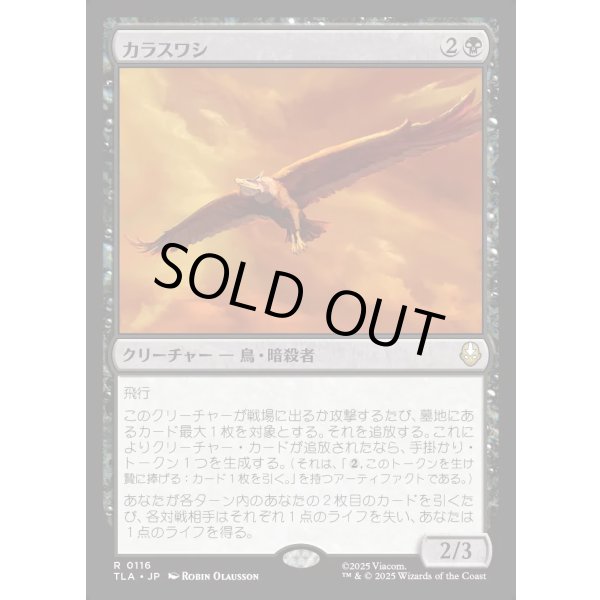 画像1: カラスワシ/Raven Eagle (1)