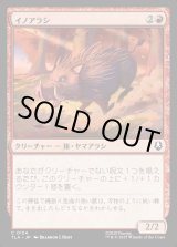 画像: イノアラシ/Boar-q-pine