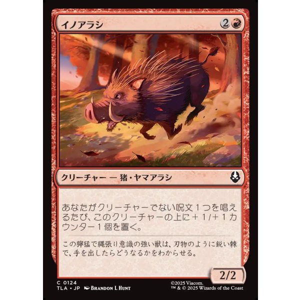 画像1: イノアラシ/Boar-q-pine (1)