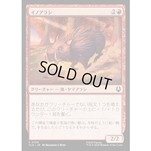 画像1: イノアラシ/Boar-q-pine (1)