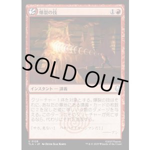 画像: 爆裂の技/Combustion Technique