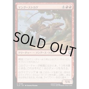 画像: マングーストカゲ/Mongoose Lizard