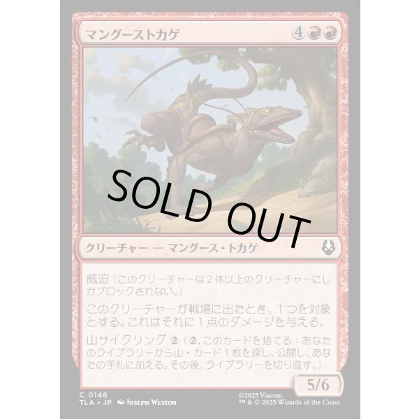 画像1: マングーストカゲ/Mongoose Lizard (1)