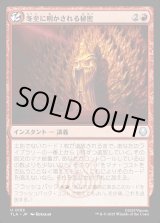 画像: 冬至に明かされる秘密/Solstice Revelations