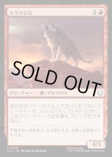 画像: トラマジロ/Tiger-Dillo