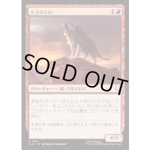 画像: トラマジロ/Tiger-Dillo