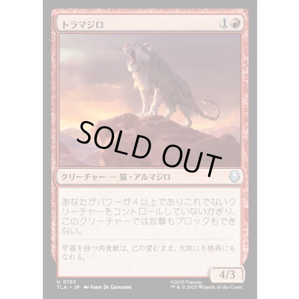 画像1: トラマジロ/Tiger-Dillo (1)