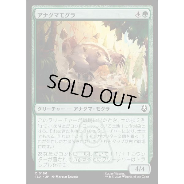 画像1: アナグマモグラ/Badgermole (1)