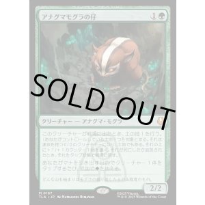 画像: アナグマモグラの仔/Badgermole Cub