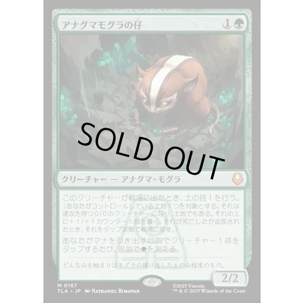 画像1: アナグマモグラの仔/Badgermole Cub (1)