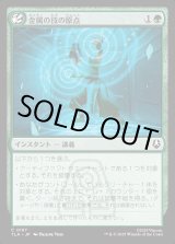 画像: 金属の技の原点/Origin of Metalbending