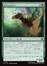 画像: ダチョウウマ/Ostrich-Horse