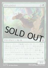 画像: ダチョウウマ/Ostrich-Horse