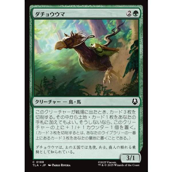 画像1: ダチョウウマ/Ostrich-Horse (1)