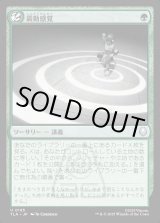 画像: 震動感覚/Seismic Sense