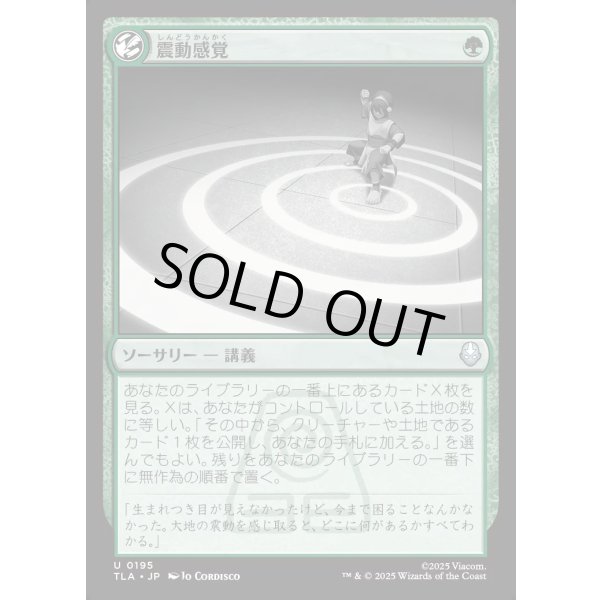 画像1: 震動感覚/Seismic Sense (1)