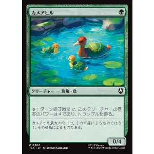 画像: カメアヒル/Turtle-Duck