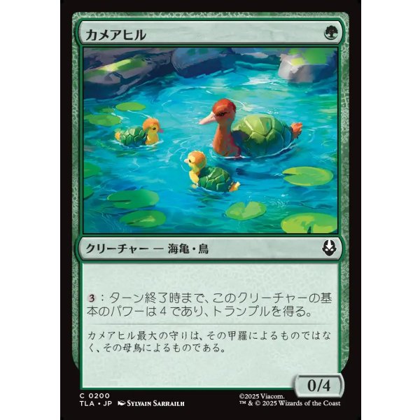 画像1: カメアヒル/Turtle-Duck (1)