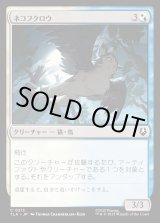 画像: ネコフクロウ/Cat-Owl