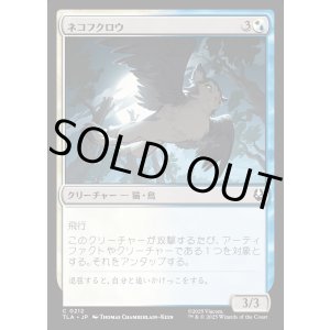 画像: ネコフクロウ/Cat-Owl