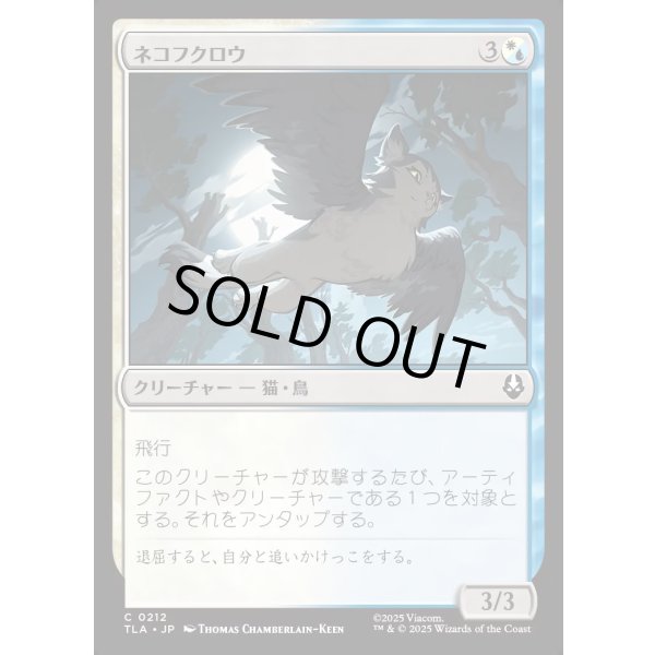 画像1: ネコフクロウ/Cat-Owl (1)