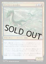 画像: リュウトンボの群れ/Dragonfly Swarm