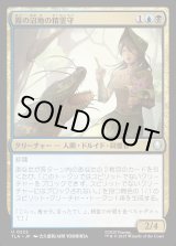 画像: 霧の沼地の精霊守/Foggy Swamp Spirit Keeper