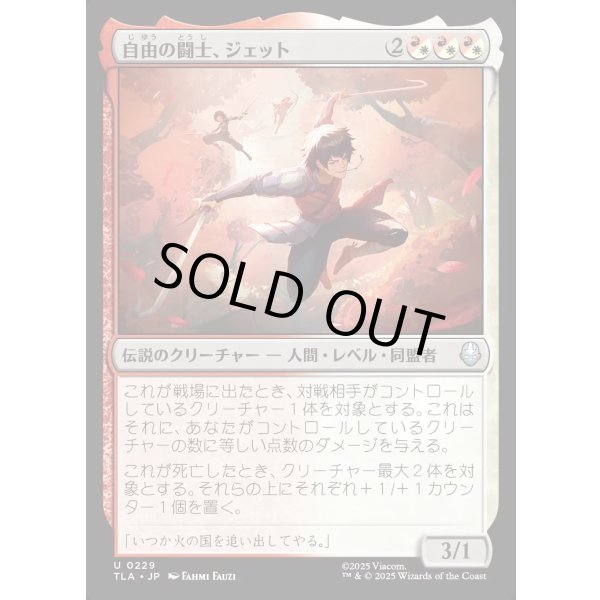 画像1: 自由の闘士、ジェット/Jet, Freedom Fighter (1)