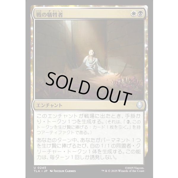 画像1: 戦の犠牲者/Tolls of War (1)