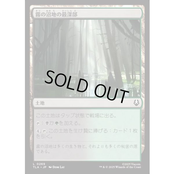 画像1: 霧の沼地の最深部/Foggy Bottom Swamp (1)