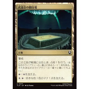 画像: 武道会の闘技場/Rumble Arena