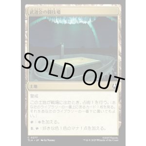 画像: 武道会の闘技場/Rumble Arena