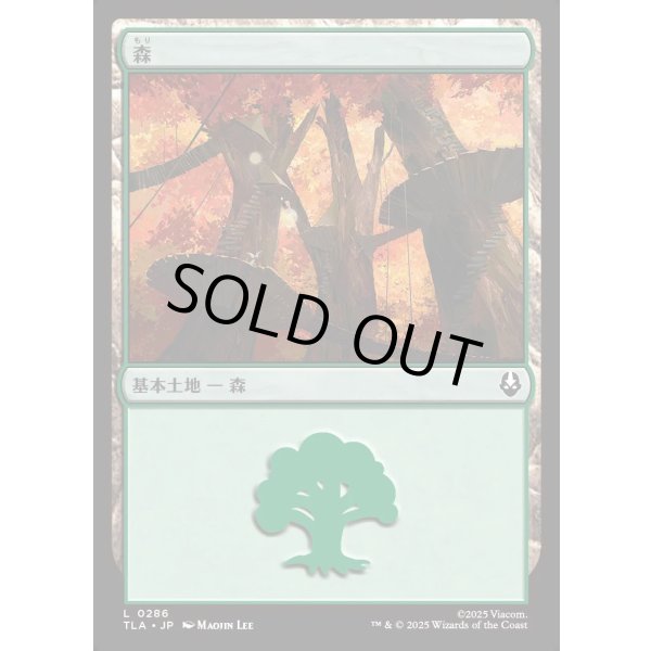 画像1: 森/Forest (1)