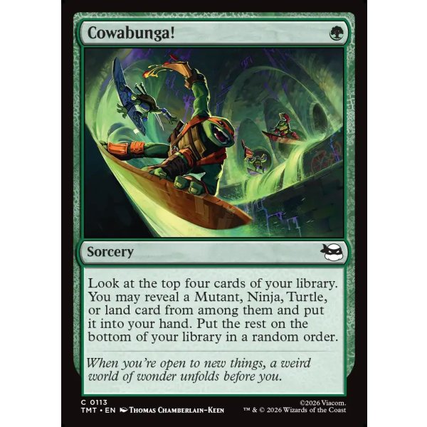 画像2: カワバンガ！/Cowabunga! (2)