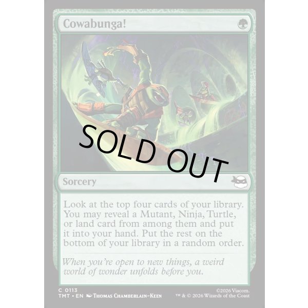 画像2: カワバンガ！/Cowabunga! (2)