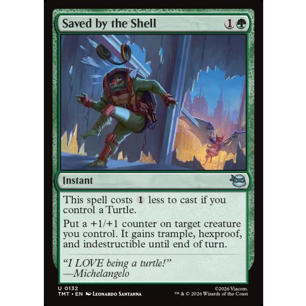 画像2: 甲羅で命拾い/Saved by the Shell (2)