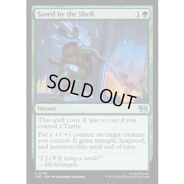 画像2: 甲羅で命拾い/Saved by the Shell (2)