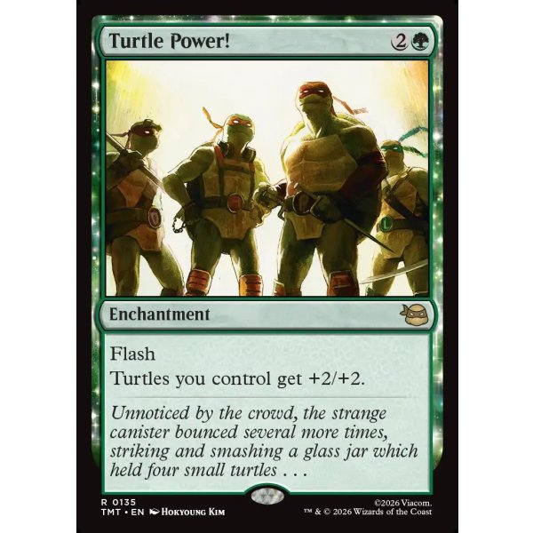 画像2: タートル・パワー！/Turtle Power! (2)