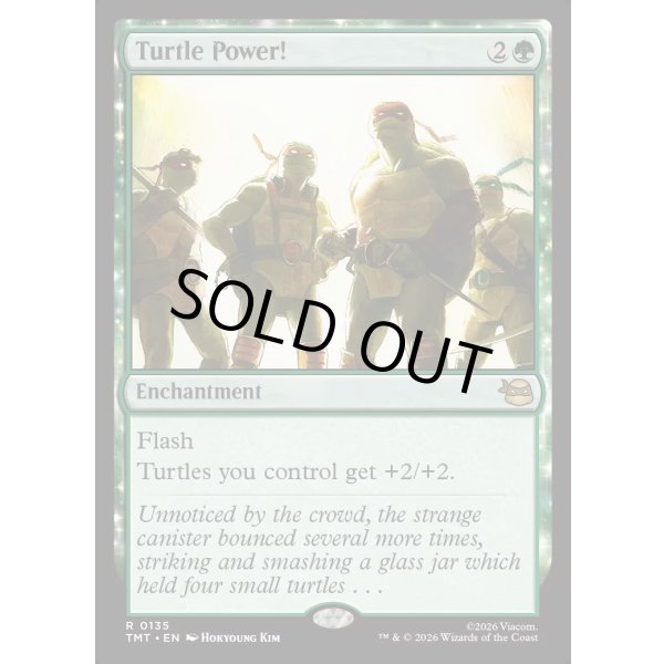 画像2: タートル・パワー！/Turtle Power! (2)