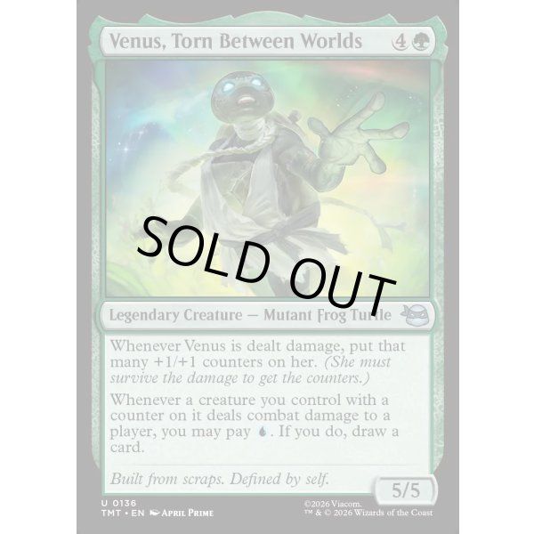 画像2: 世界の狭間で、ビーナス/Venus, Torn Between Worlds (2)